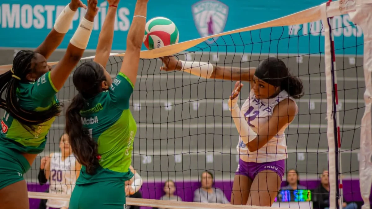 liga voleibol