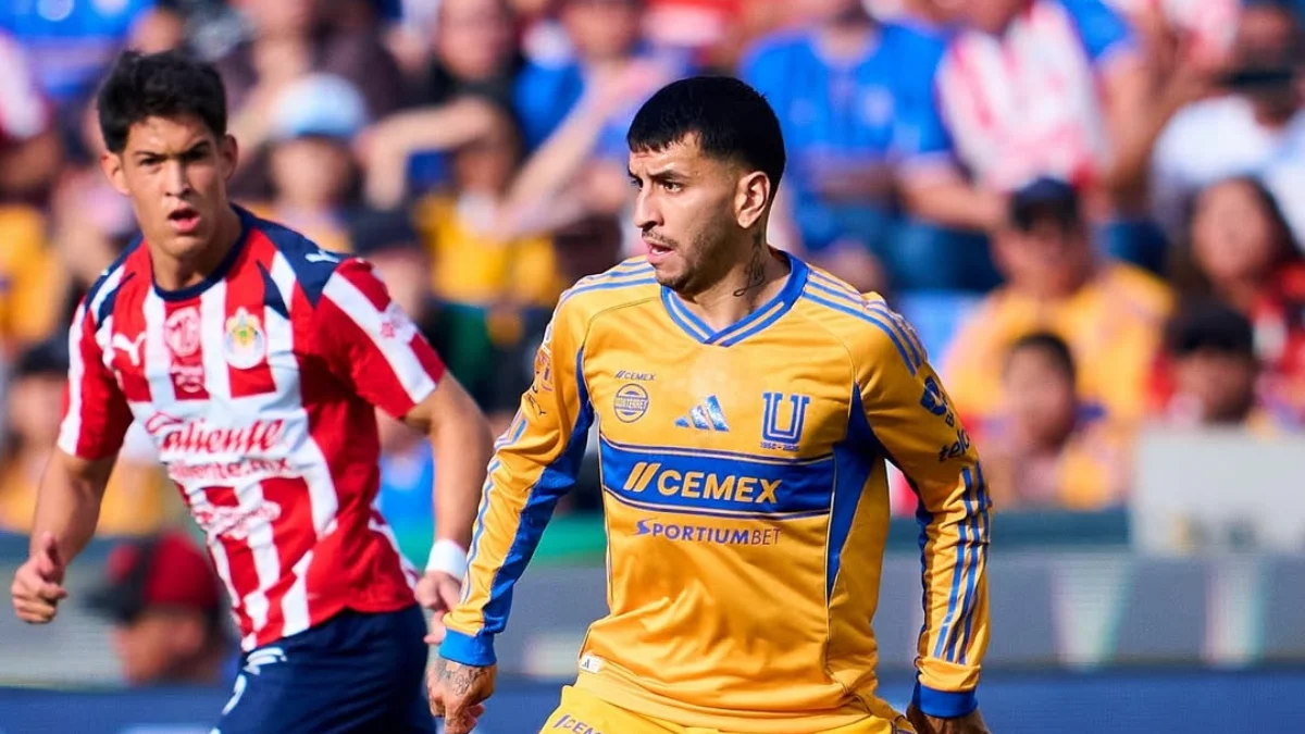 tigres