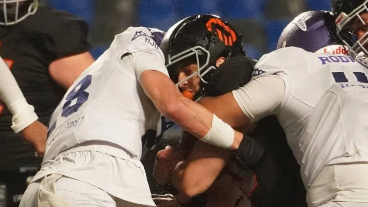 Osos de Monterrey vs Dinos de Saltillo (via: lfa_mex)