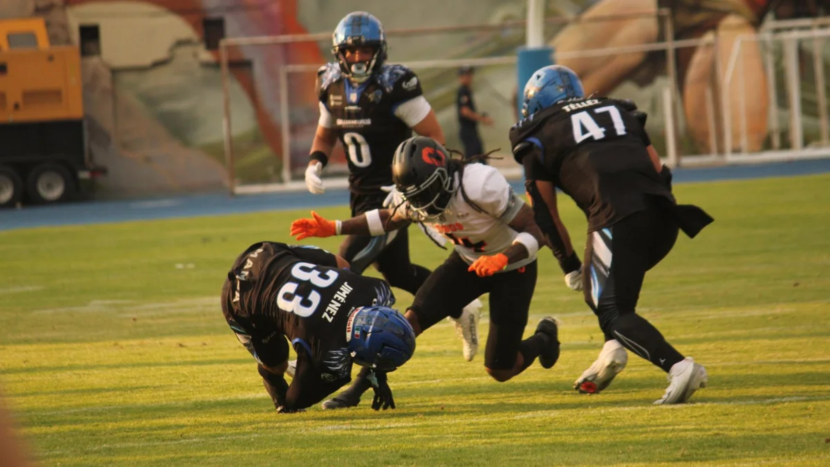 Gallos vs Osos(via: @nez_skz)